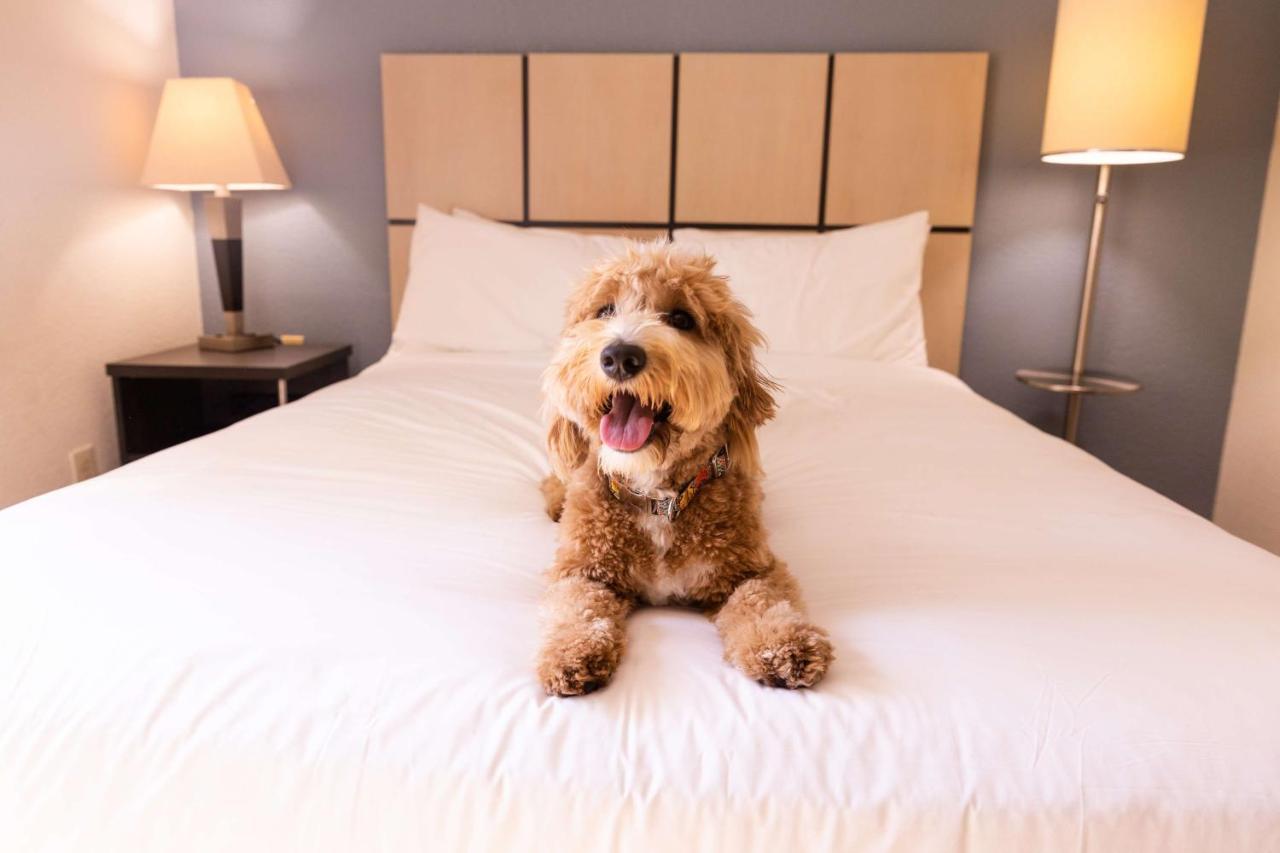 Sonesta Simply Suites Chicago Waukegan Esterno foto